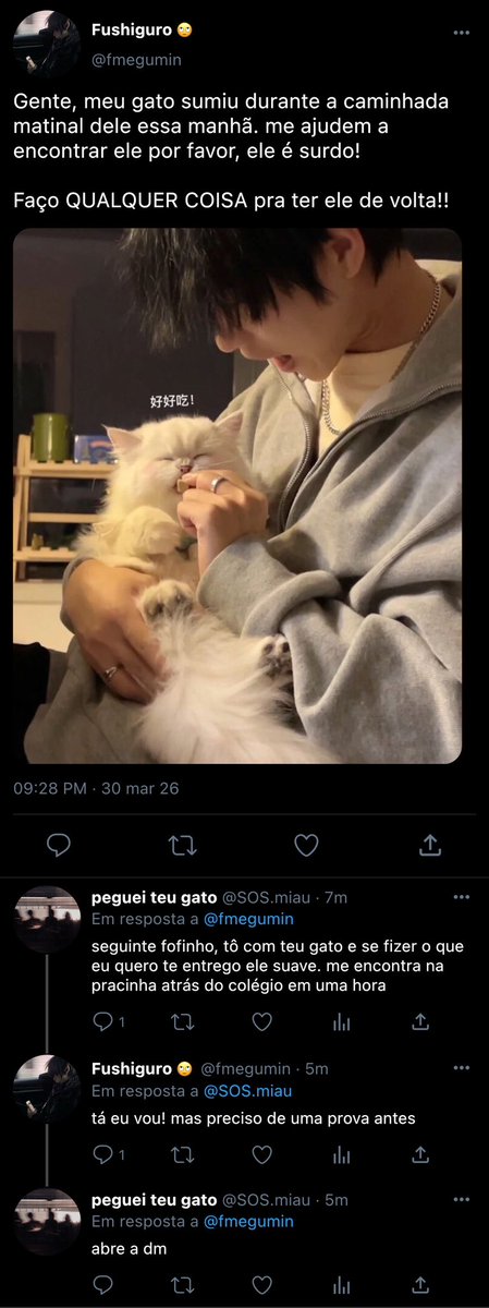 Daenerys • aus no 📌 tweet media