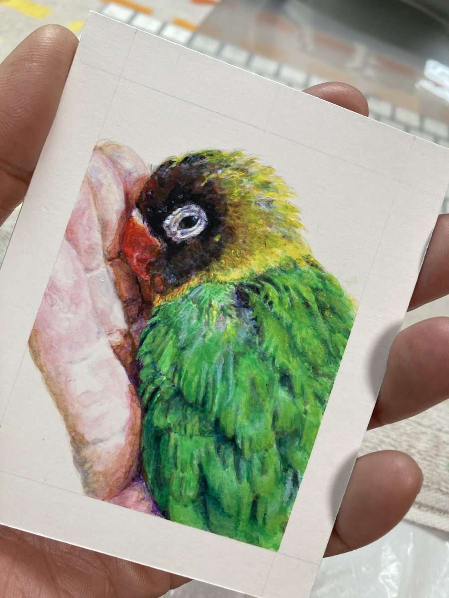 せーさん tweet media