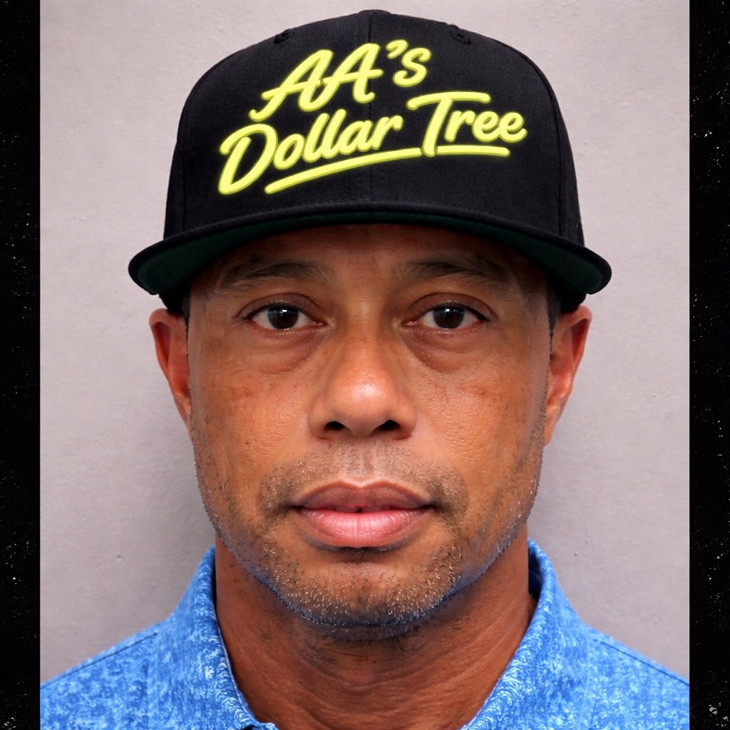 AA’s Dollar Tree ™️ 💵 🌳 tweet media