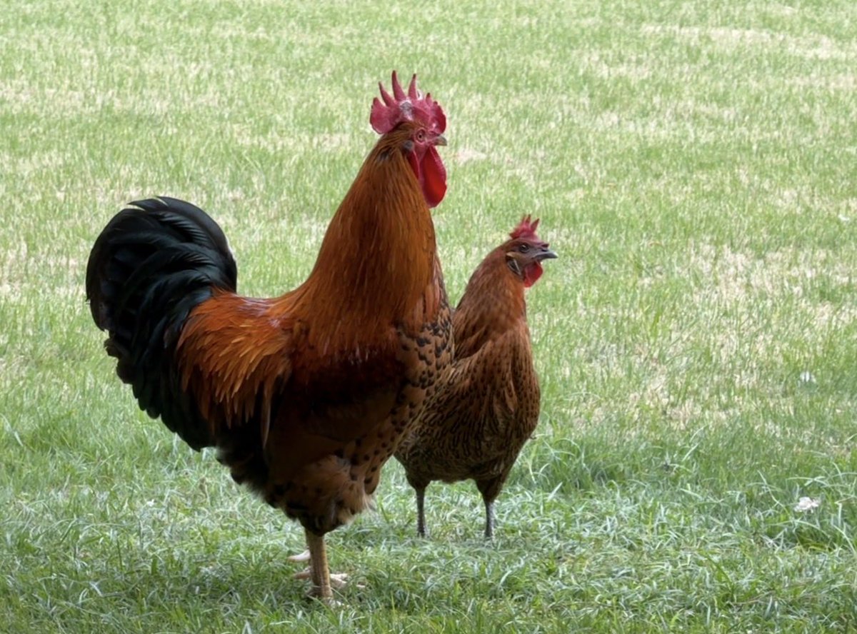 Jason 🇺🇸 tweet media