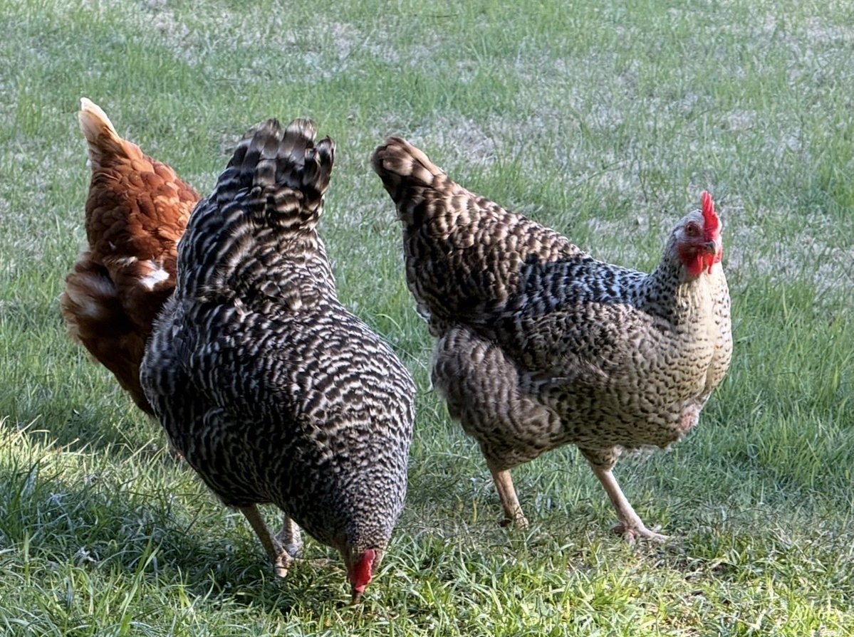 Jason 🇺🇸 tweet media