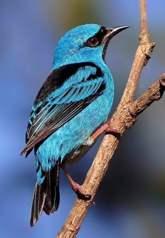 James R Us tweet media