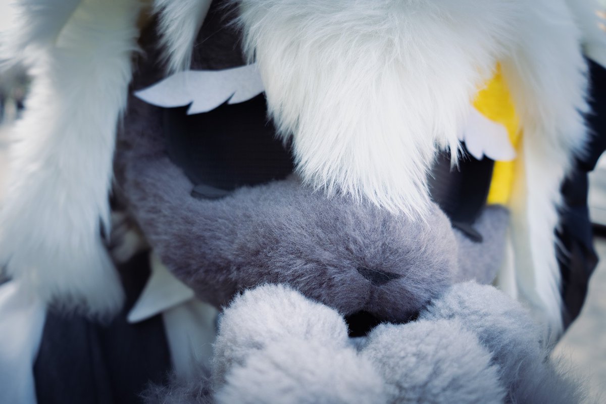 셀리니 🔜 3부코, 퍼클 tweet media