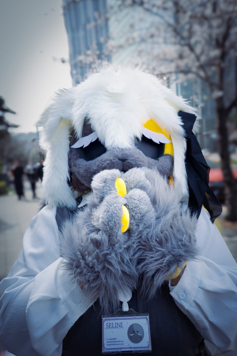 셀리니 🔜 3부코, 퍼클 tweet media