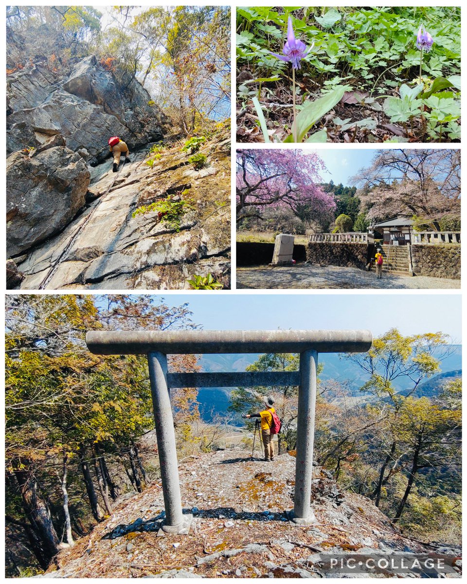 mint-fam tweet media