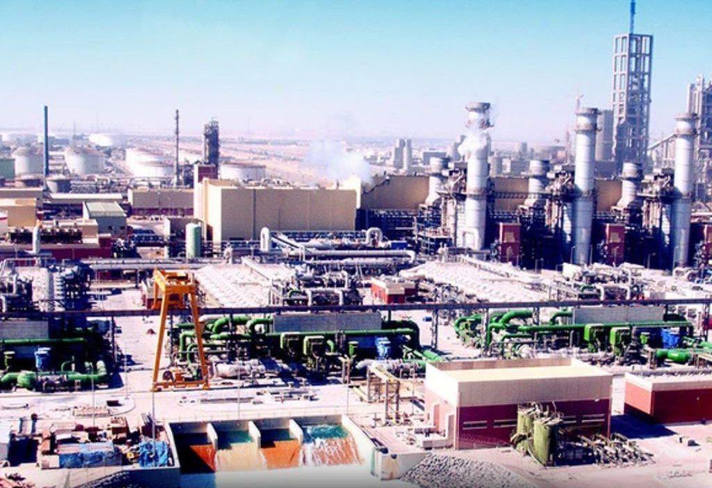 Negin 🇮🇷🇨🇦 tweet media