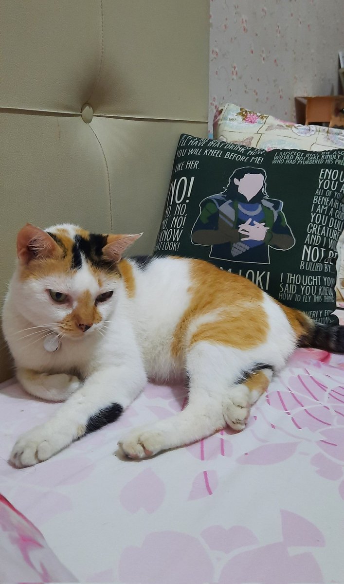 👯‍♀️ tweet media