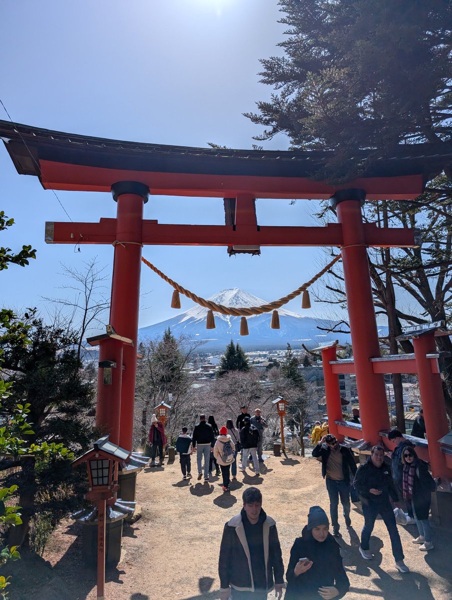 Revwolf 🇺🇸🫂🇯🇵🫂🇰🇷 tweet media