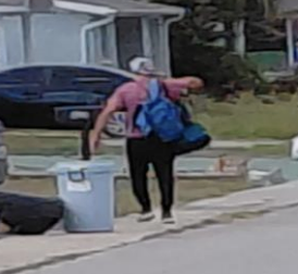 Pasco Sheriff tweet media