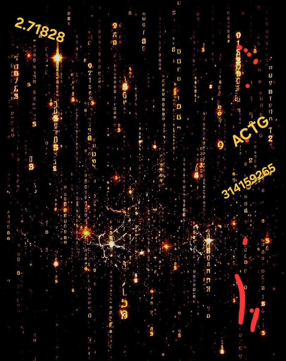 طارق فدعق tweet media