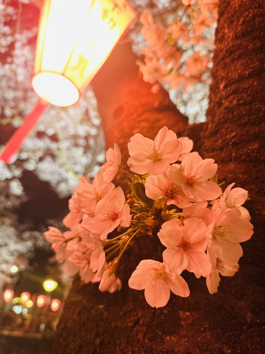 RAYCHELL👠 tweet media