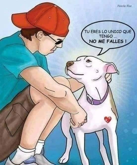 Guadalupe Ramirez tweet media