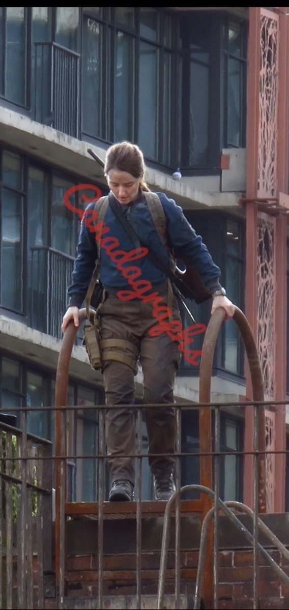 Portal The Last of Us tweet media