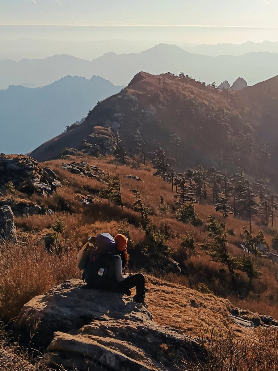 Reginald tweet media