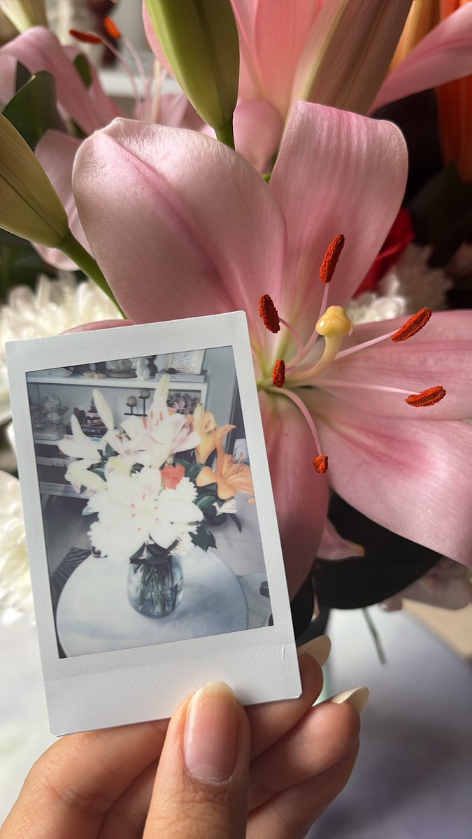 amore 🚬🐭 tweet media