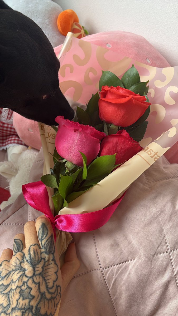 amore 🚬🐭 tweet media