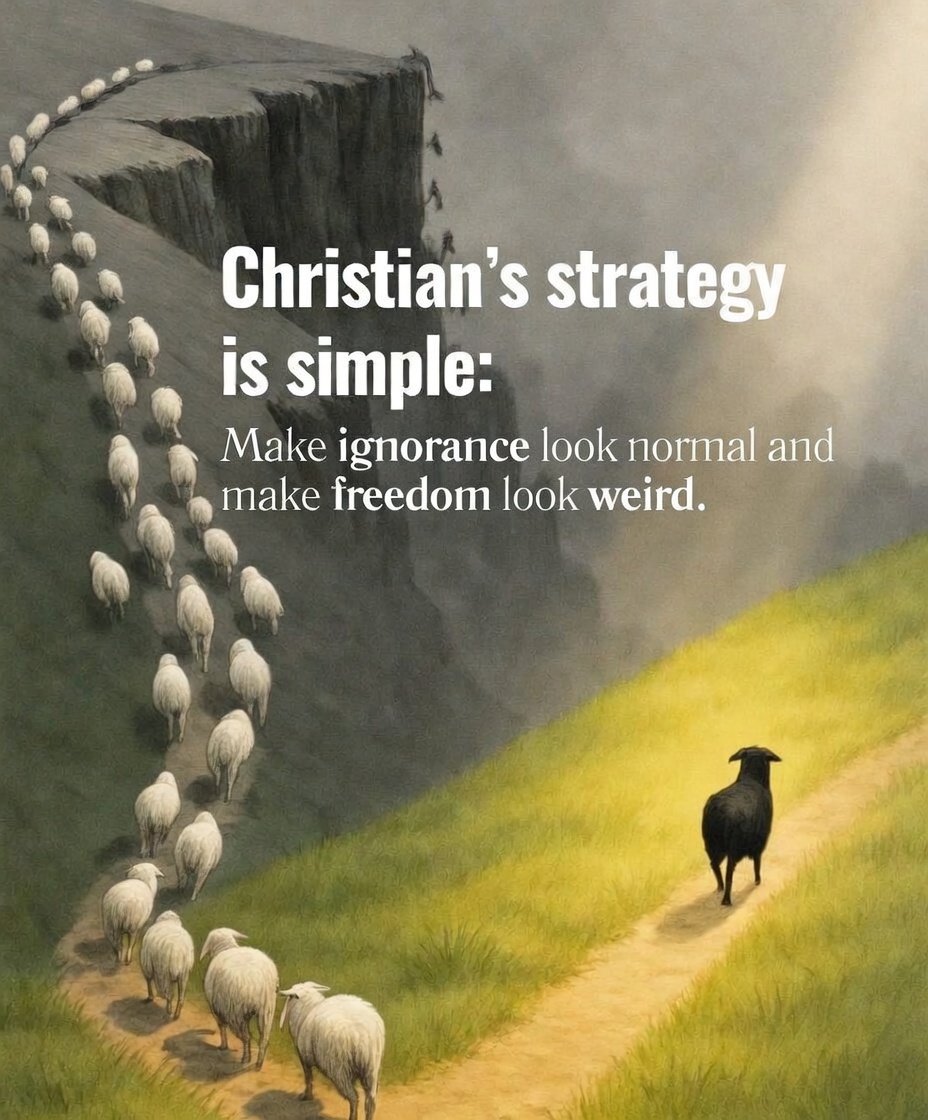 Rep. Monique Ellison tweet media