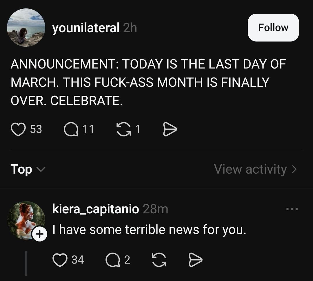 Mack's Cats tweet media