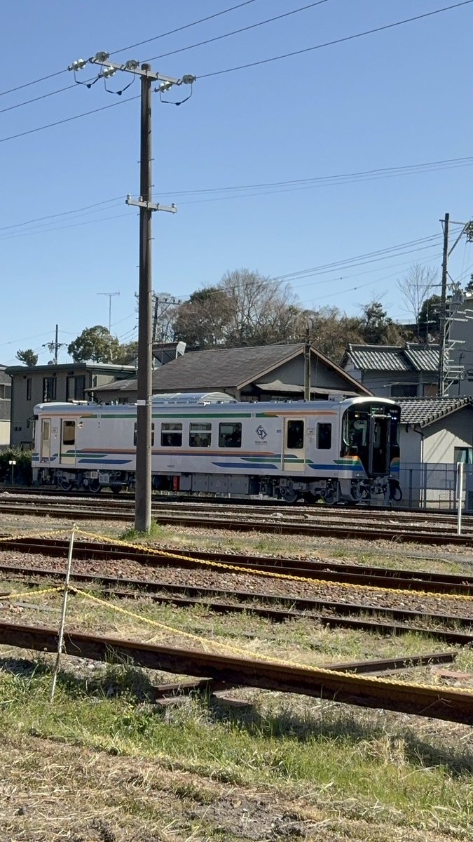 みーこ(ねぼすけ） tweet media