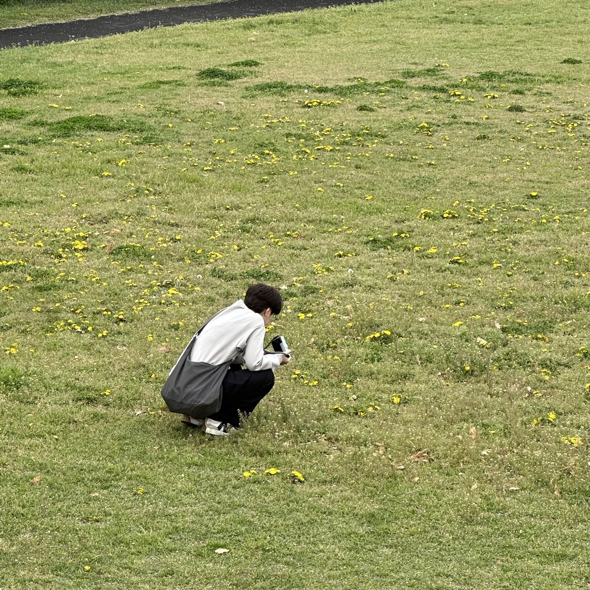 F ⋆.˚ 𓃠 tweet media