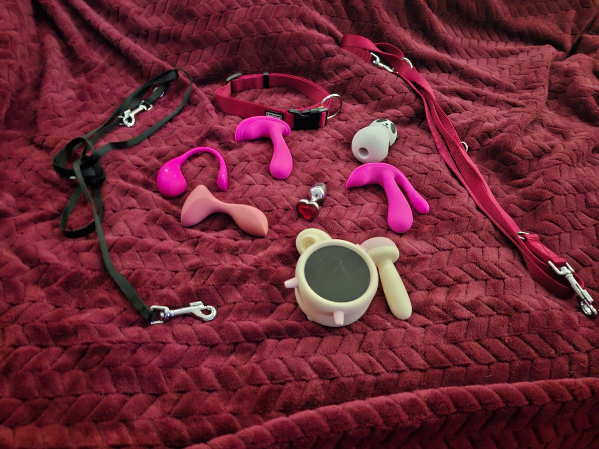 ❤️ Aki 🦝 tweet media