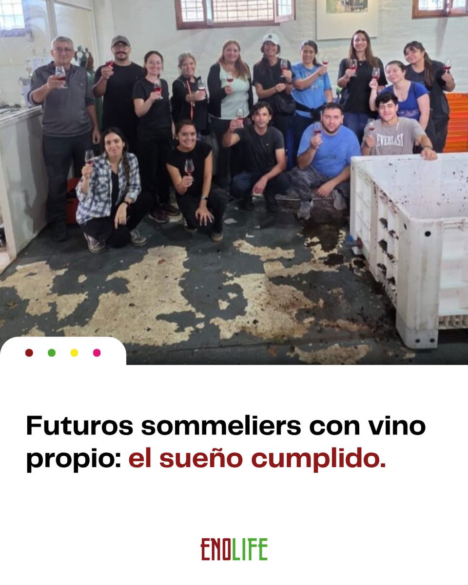 Enolife_ar's tweet image. 🍇❤️ Sueño cumplido: estudiantes hicieron su propio vino con uvas #Merlot y equipos de Vivero Mercier.

📝 Nota completa enolife.com.ar/es/sueno-cumpl…