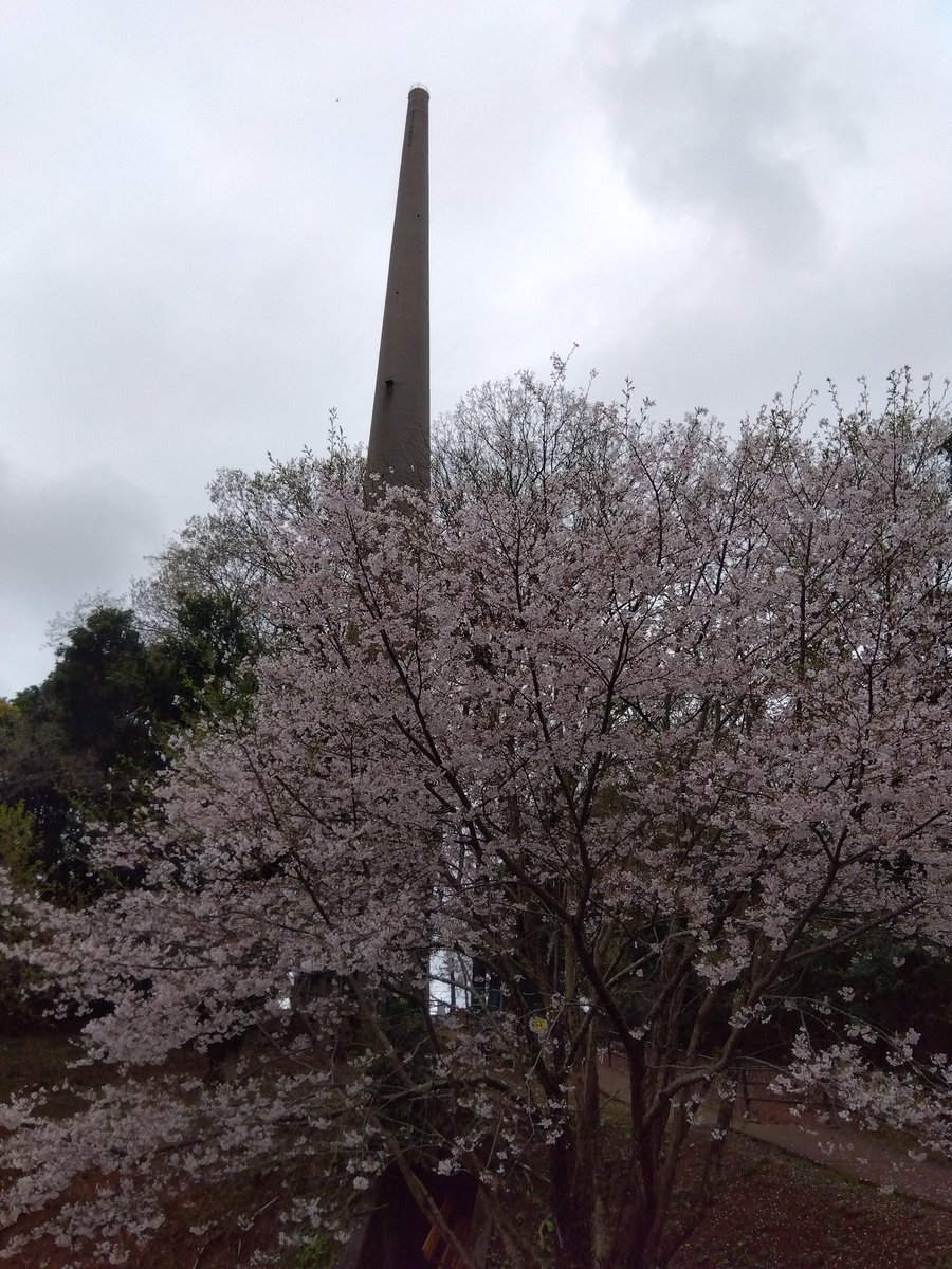 虎馬提督@幌筵陽炎嫁 tweet media