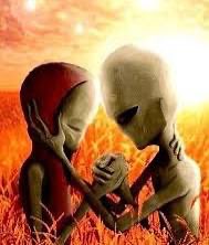 Rob “Crack Addict” Ford tweet media