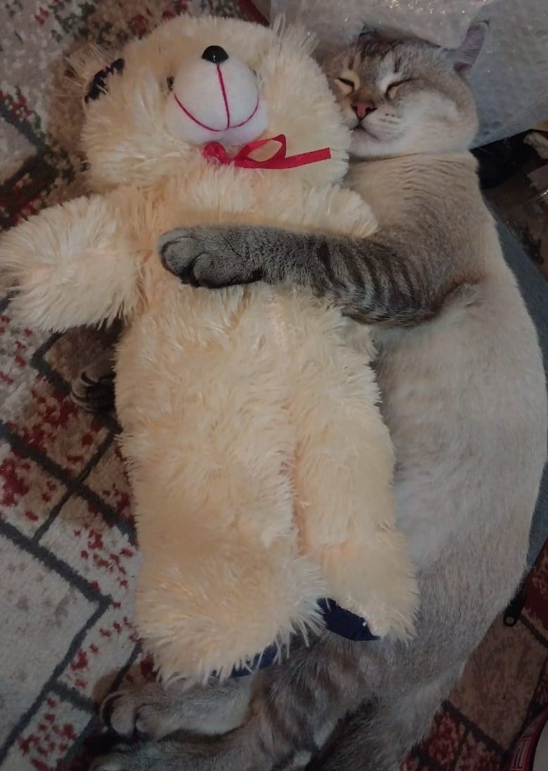 Joyful Garden 🌿🫑 tweet media