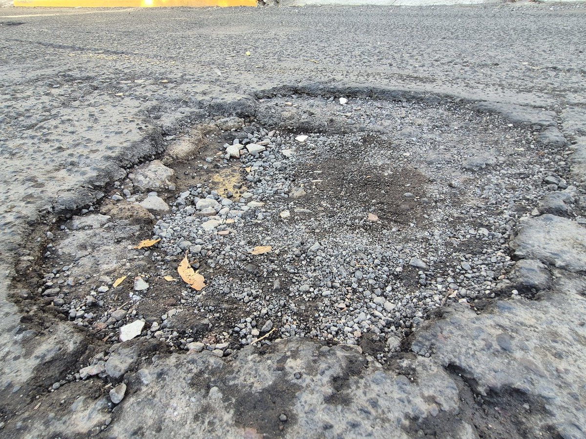 Veracruz En Alerta tweet media