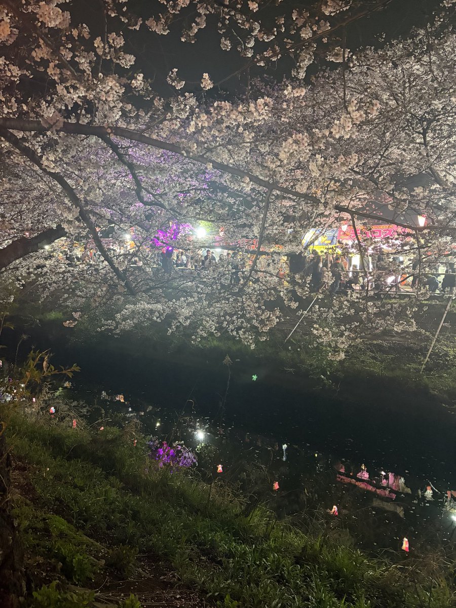ryonmerry's tweet photo. 2日にわたって堪能🌸
夜桜みるためにランニングもできちゃってさ、この時期スタートしなかったら今年もうきっと走らないと思うわ…やれよー！ https://t.co/d9eu8eD6Oq