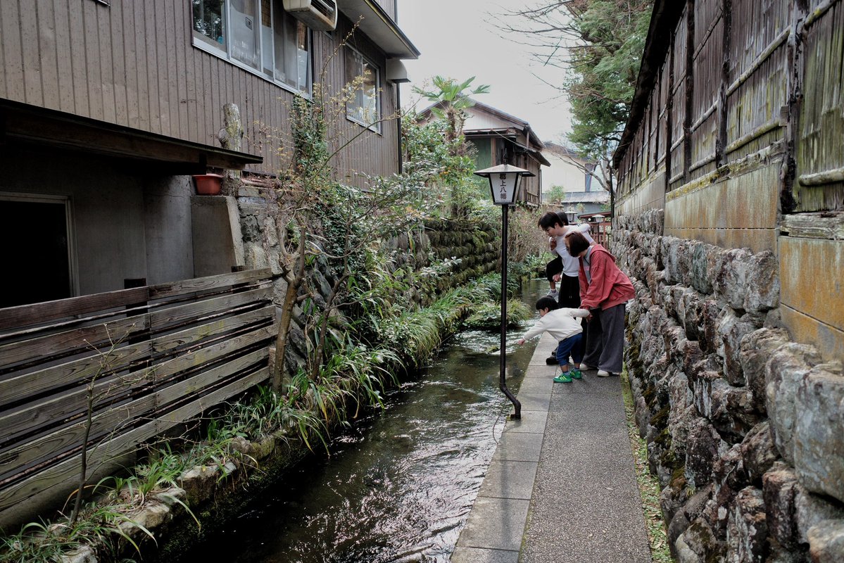 BlackjellyDevil tweet media