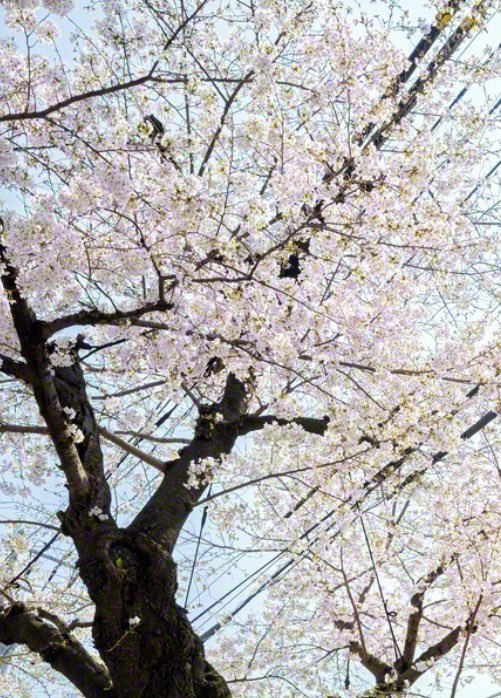 私は25年間のサラリーマン時代に写真機材の品質競争力が十分でなく販売が伸びない際「製品の品質が良くない、もっと良い製品を作るよう」経営トップに伝えた時に「君はそのために何をしたのかね」その一言で人頼みにする前に、まず自分でなんとかしなくてはならないことを痛感させられました。（2-２）