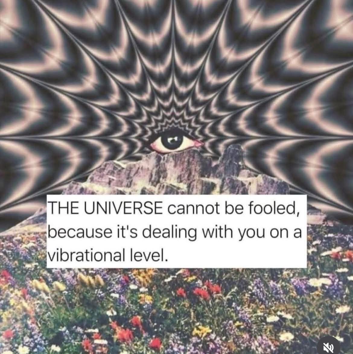 🧬Maxpein🧬 tweet media