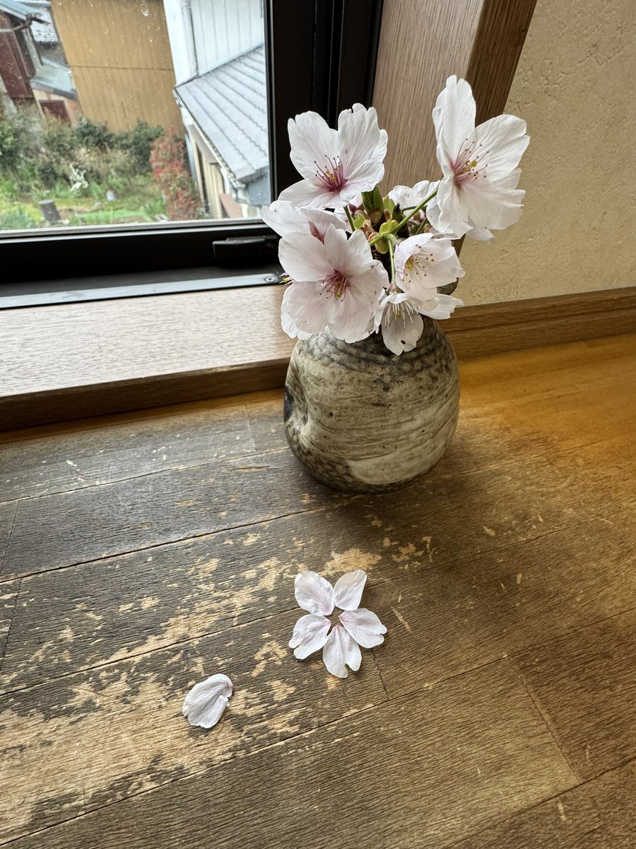 ちぃばぁ･:*+.\(( °ω° ))/.:+ tweet media