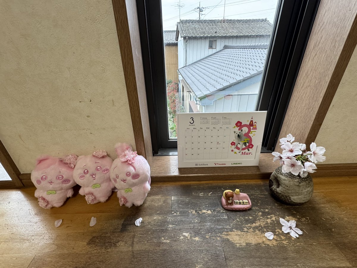 ちぃばぁ･:*+.\(( °ω° ))/.:+ tweet media