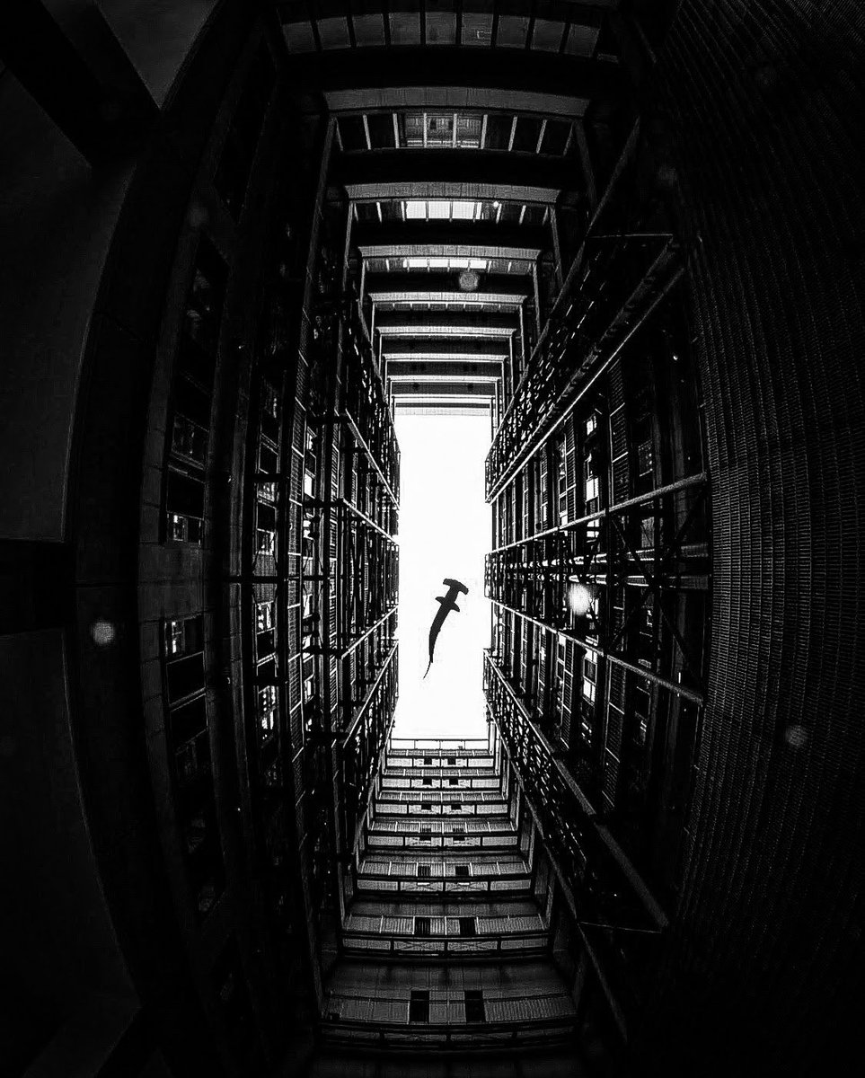 大♪(´ε｀ ) tweet media