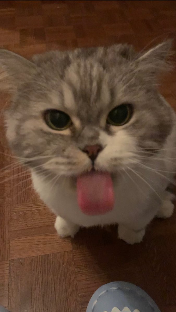 Error ☁️ 🪨 tweet media