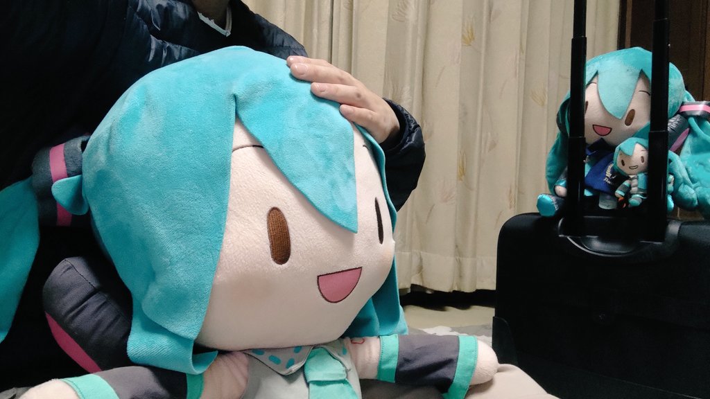 ミラァ tweet media