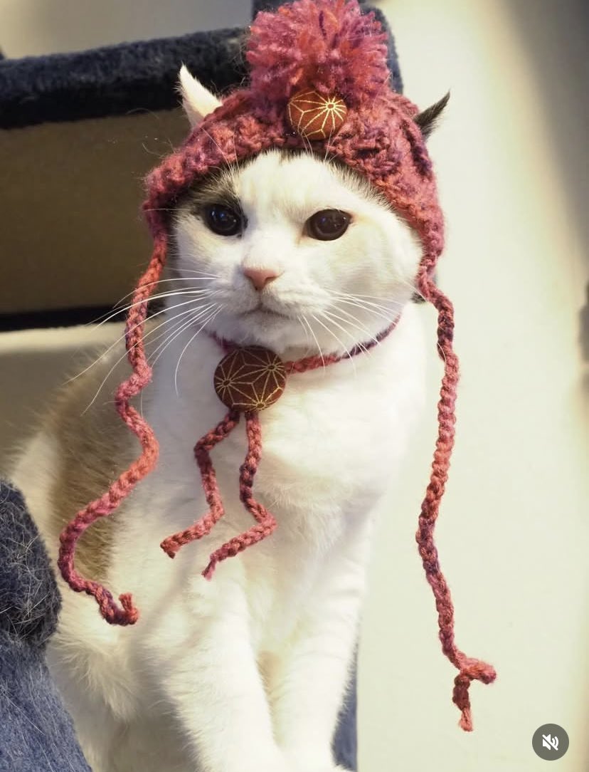 麺尊RAGE RAMEN WANTO tweet media