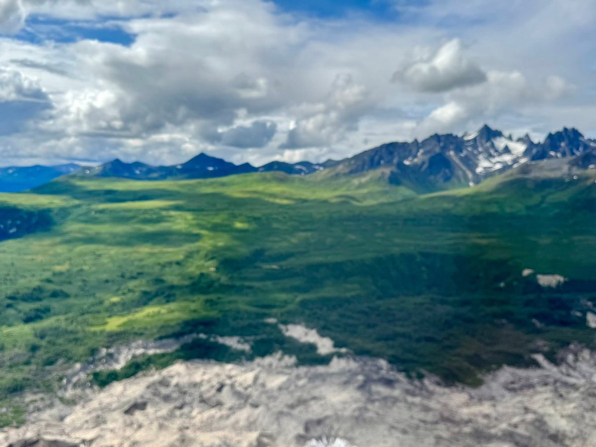 Htownfinfan tweet media