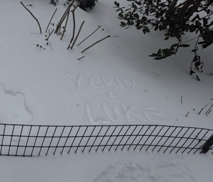 rinn 💜💚💙 tweet media