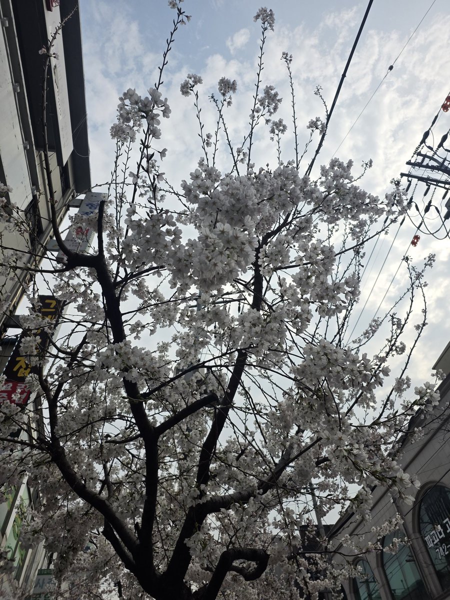 김제덕 tweet media