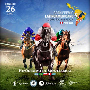 Ardan_12 tweet media