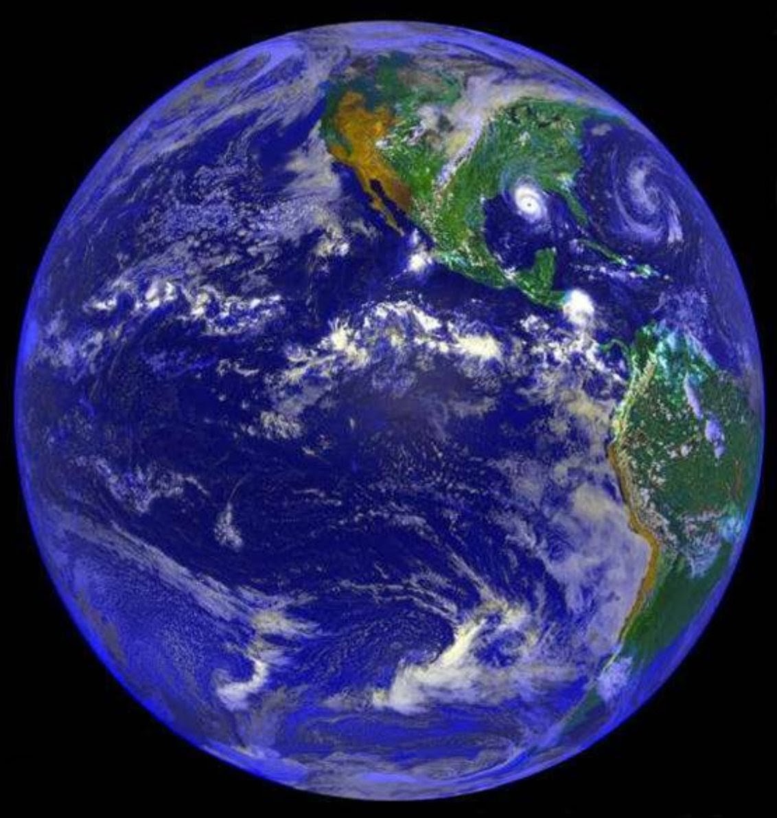 Peter Clack tweet media