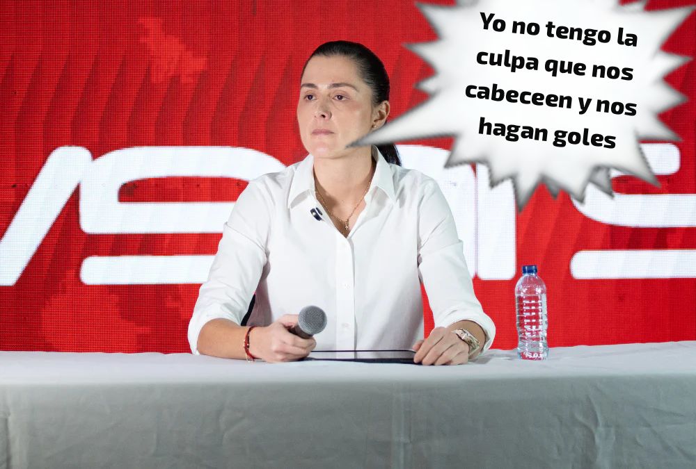 periquito 🦜 pin pin tweet media