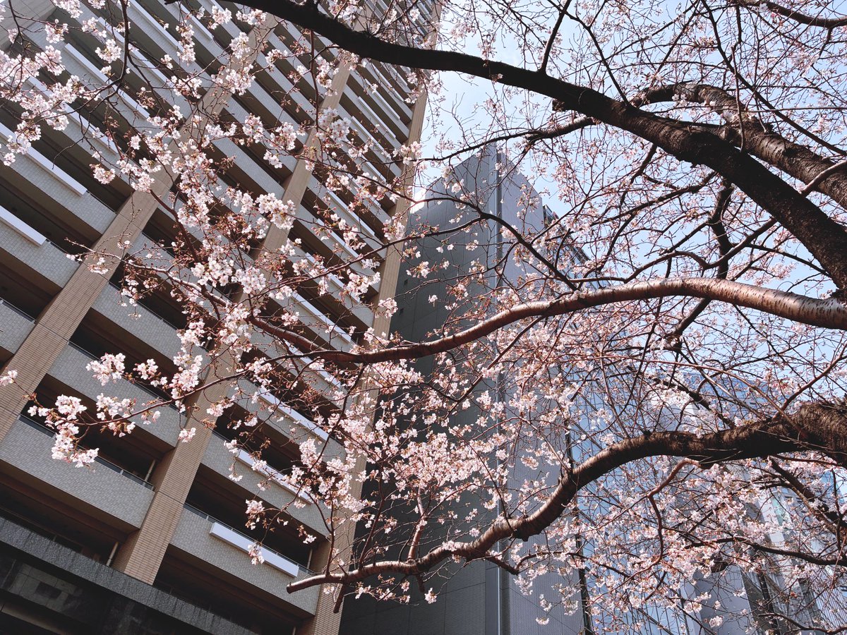 マックシステム株式会社 tweet media