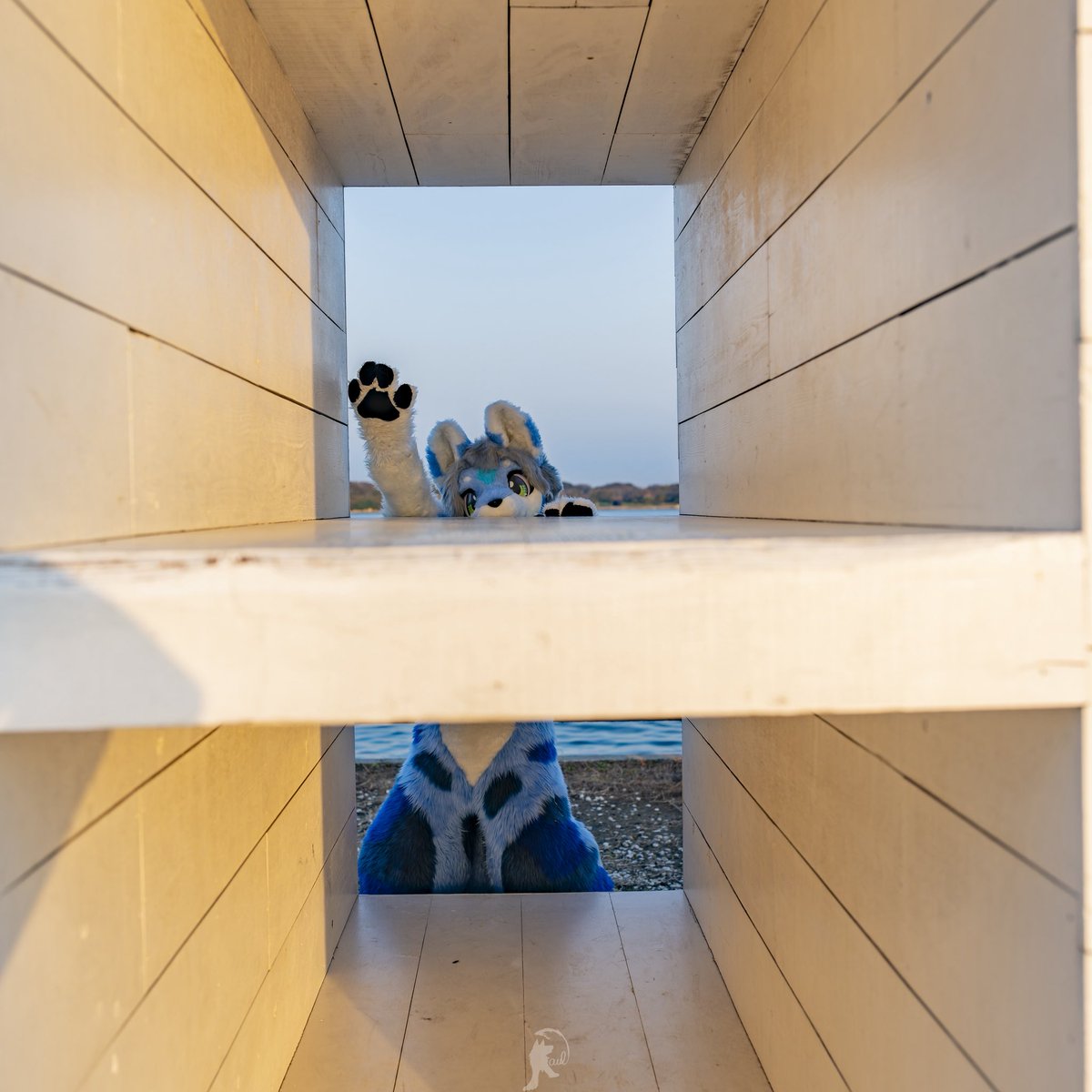 ルビエル tweet media