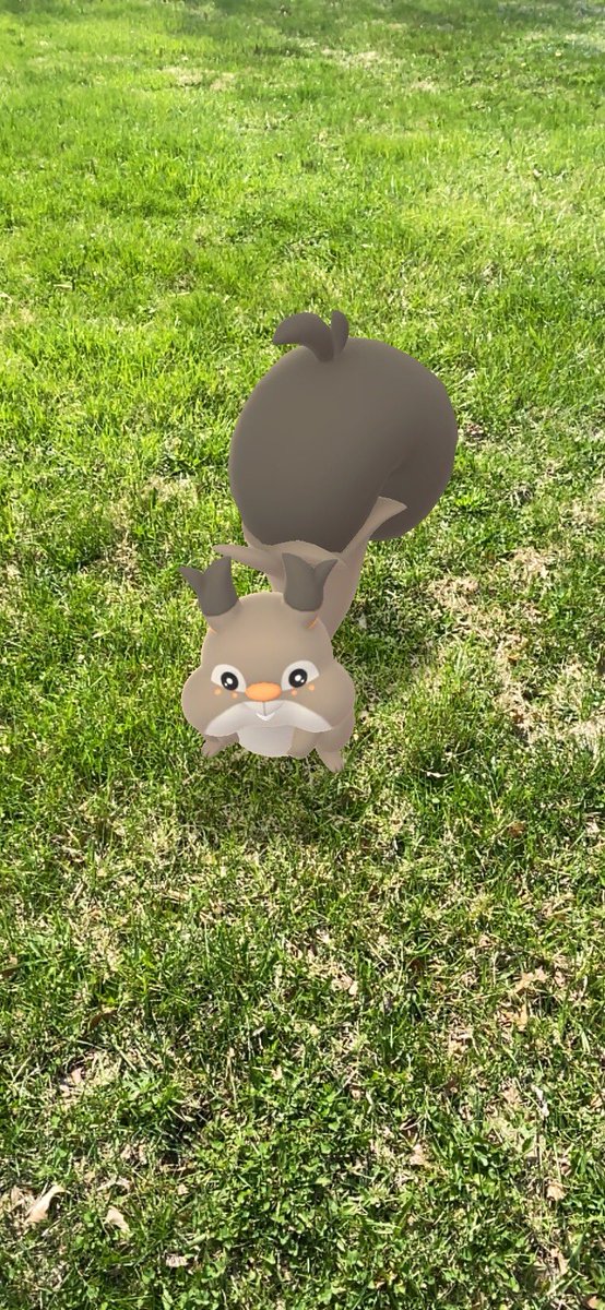 TweeterNicholas's tweet image. No. 0819 Skwovet 
Cheeky Pokémon
🔘

It eats berries nonstop—a habit that has made it more resilient than it looks. It'll show up on farms, searching for yet more berries.

#Pokédex
#Pokémon
#PokémonGO