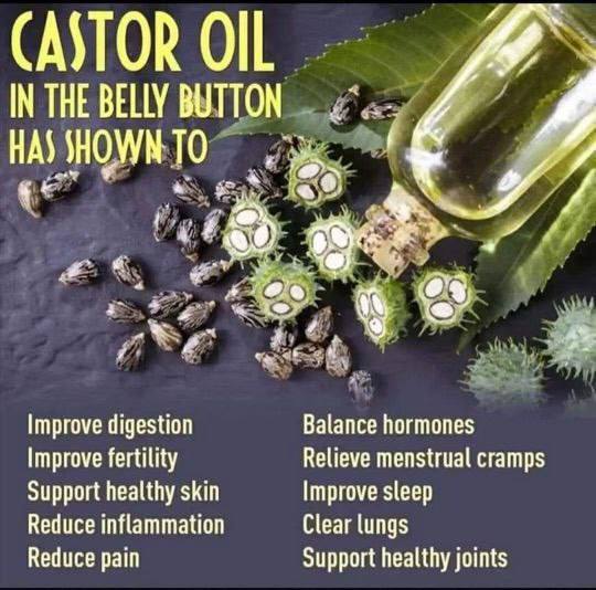 Barbara Oneill tweet media